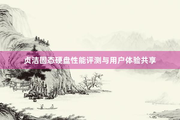 贞洁固态硬盘性能评测与用户体验共享